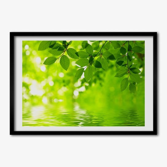 Foto ramka obraz na ścianę TULUP Zielone liście 70x50 cm Tulup