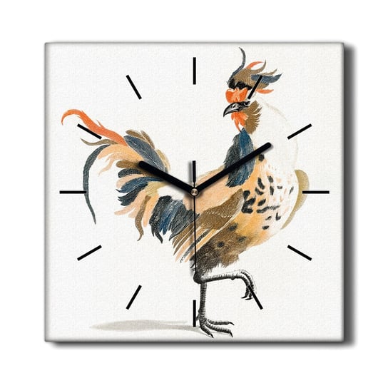 Foto zegar na płótnie Zwierzę ptak kogut 30x30 cm, Coloray Coloray