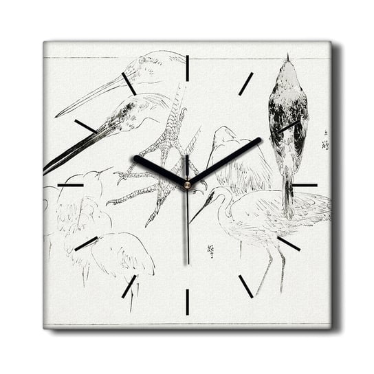 Foto zegar wiszący na płótnie Zwierzę ptak 30x30, Coloray Coloray