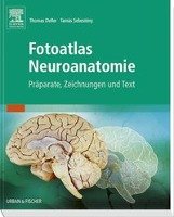 Fotoatlas Neuroanatomie Deller Thomas, Sebesteny Tamas
