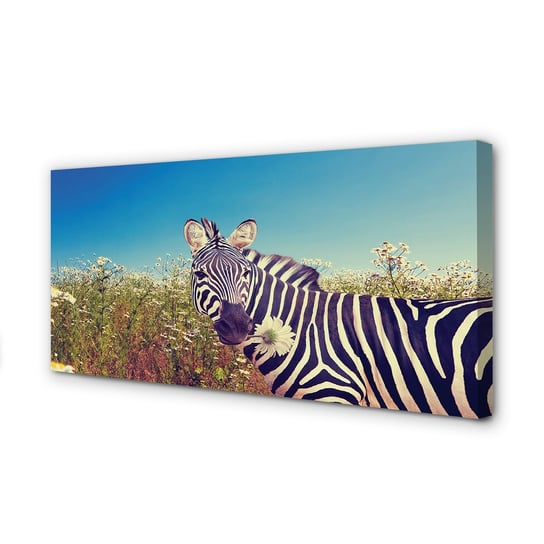 Fotografika blejtram TULUP Zebra kwiaty 100x50 cm Tulup