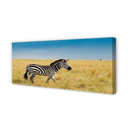 Fotoobraz grafika na płótnie TULUP Zebra pole 125x50 cm cm Tulup