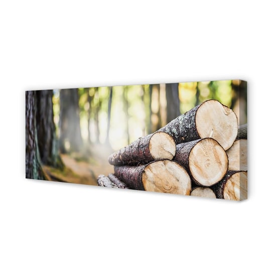 FotoObraz na płótnie TULUP Drewno natura las 125x50 cm cm Tulup