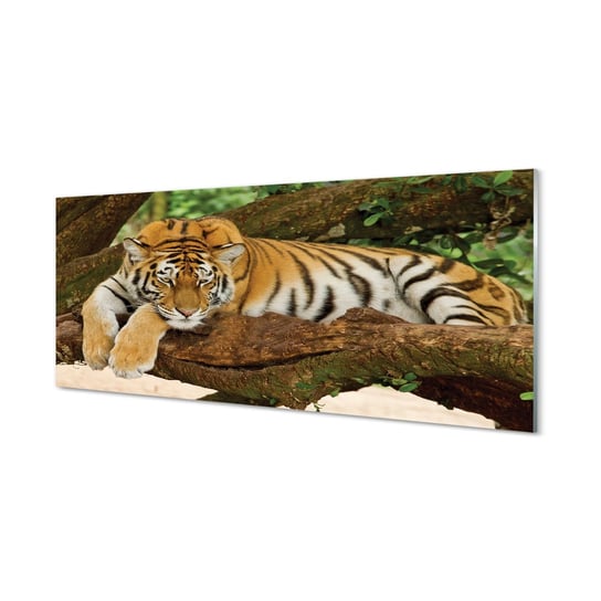 FotoObraz na płótnie TULUP Drzewo tygrys 125x50 cm cm Tulup
