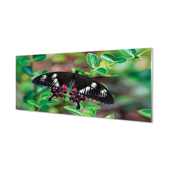 FotoObraz na płótnie TULUP Liście kolorowy motyl 125x50 cm cm Tulup