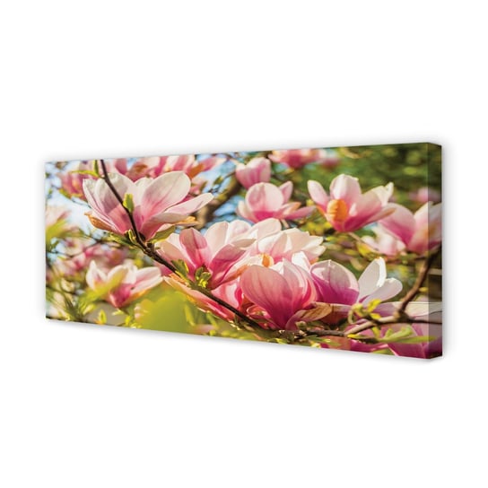 FotoObraz na płótnie TULUP Różowa magnolia 125x50 cm cm Tulup