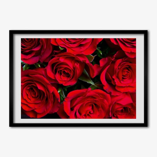 Fotoobraz na ścianę do salonu TULUP Czerwone róże 70x50 cm Tulup