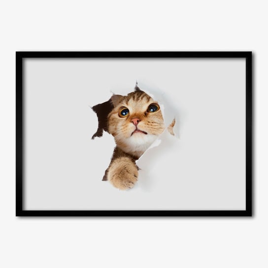 Fotoobraz na ścianę do salonu TULUP Kot w dziurze 70x50 cm Tulup