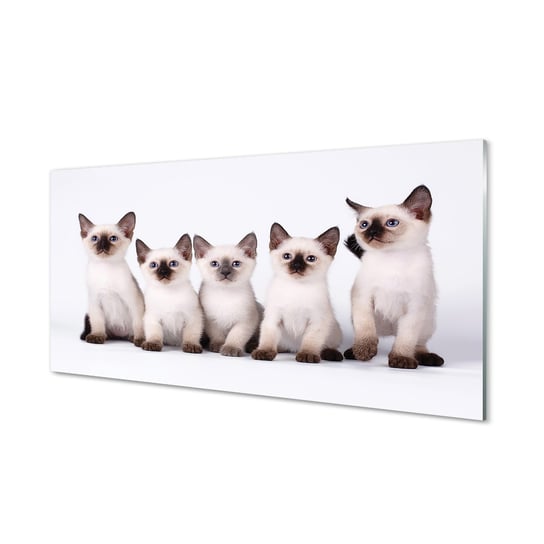 Fotoobraz ze szkła hartowanego TULUP Małe koty 100x50 cm Tulup