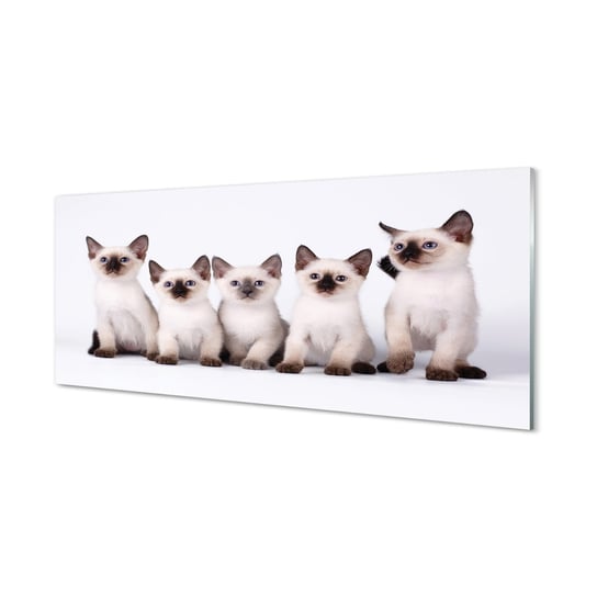 Fotoobraz ze szkła hartowanego TULUP Małe koty 125x50 cm cm Tulup