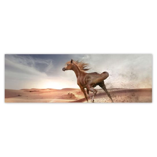 Fototapeta 200x66 Koń galopujący przez pustynię ZeSmakiem