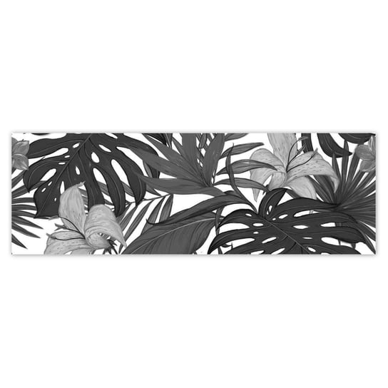 Fototapeta 312x104 Monstera ZeSmakiem