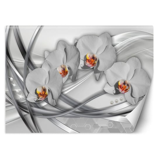 Fototapeta, Abstrakcyjne orchidee 150x105 Feeby