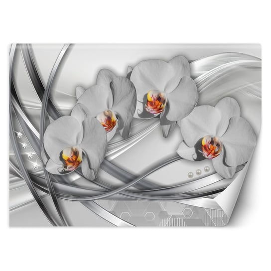 Fototapeta, Abstrakcyjne orchidee 400x280 Feeby