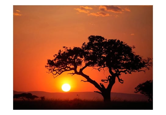 Fototapeta, Afryka: zachód słońca, 200X154 DecoNest