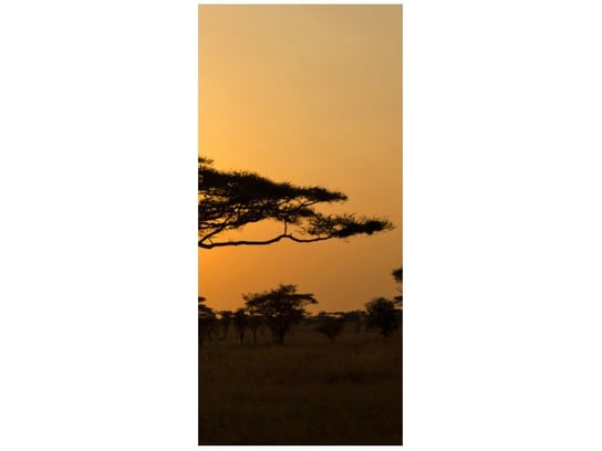 Fototapeta Akacja w Serengeti, 95x205 cm Oobrazy