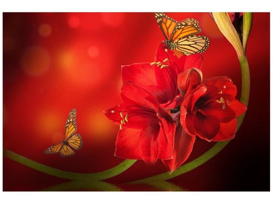 Fototapeta Amarylis i motyle, 200x135 cm Oobrazy