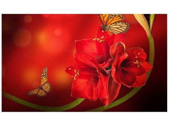Fototapeta, Amarylis i motyle, 9 elementów, 402x240 cm Oobrazy