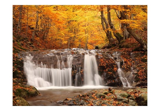 Fototapeta, Autumn landscape : waterfall in forest, 200X154 DecoNest