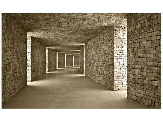 Fototapeta, Beżowy tunel, 8 elementów, 412x248 cm Oobrazy