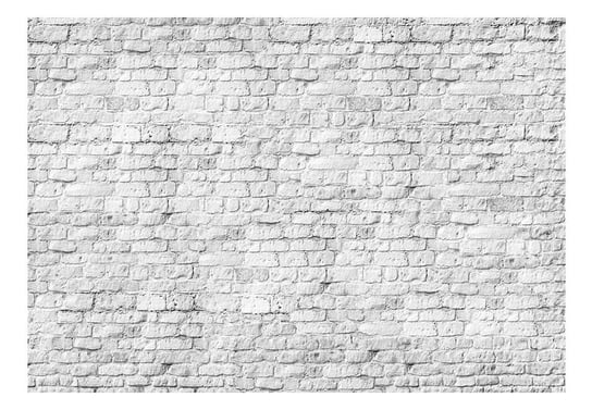 Fototapeta, Białe cegły, 150x105 cm DecoNest