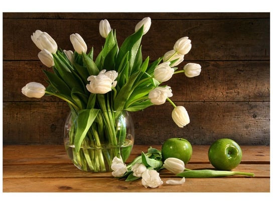 Fototapeta, Białe tulipany, 8 elementów, 368x248 cm Oobrazy