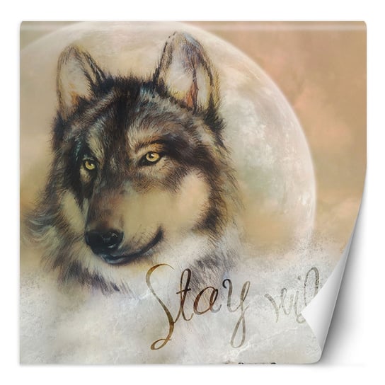 Fototapeta Brązowy wilk na tle księżyca 100x100 Feeby