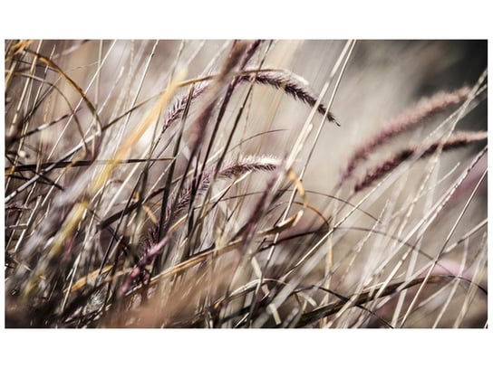 Fototapeta, Buszujący w trawie - Nina Matthews, 8 elementów, 412x248 cm Oobrazy