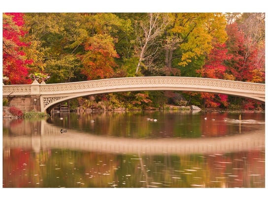 Fototapeta, Central Park, 8 elementów, 400x268 cm Oobrazy
