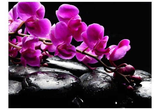 Fototapeta, Chwila relaksu : orchidea i kamienie zen, 200X154 DecoNest