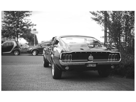 Fototapeta, CLASSIC Mustang - 55laney69, 8 elementów, 412x248 cm Oobrazy