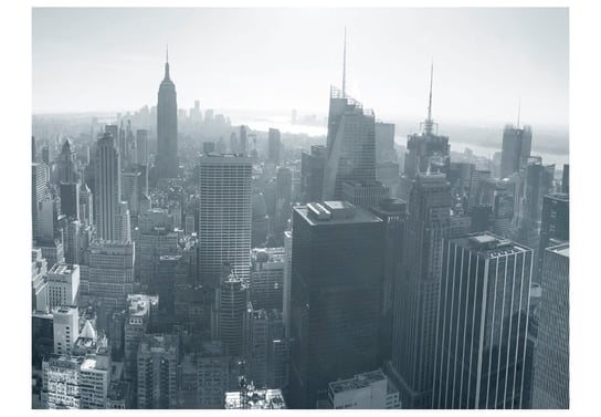 Fototapeta, Czarno-biała panorama Nowego Jorku, 400X309 DecoNest