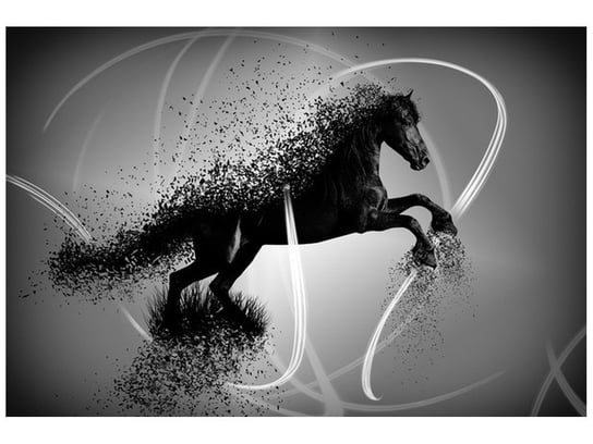 Fototapeta Czarno-biały koń fragmentaryzacja, 200x135 cm Oobrazy