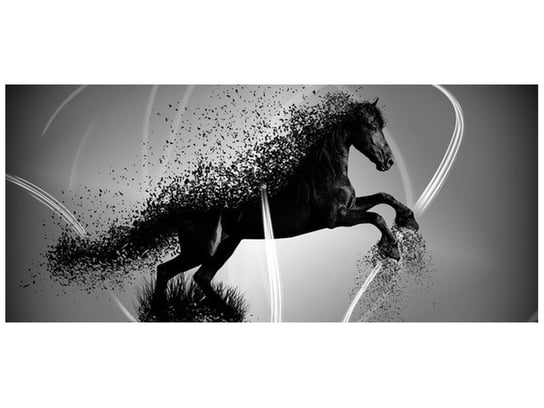 Fototapeta, Czarno biały koń fragmentaryzacja - Jakub Banaś, 12 elementów, 536x240 cm Oobrazy