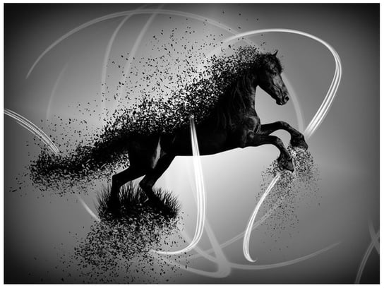 Fototapeta, Czarno biały koń fragmentaryzacja - Jakub Banaś, 2 elementy, 200x150 cm Oobrazy