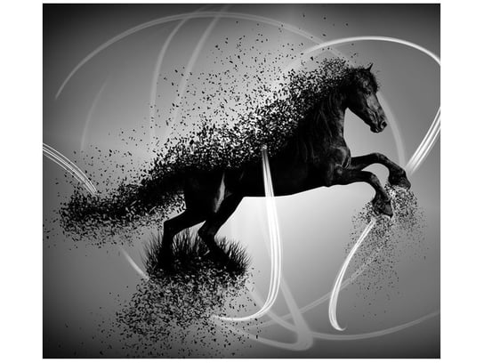 Fototapeta, Czarno biały koń fragmentaryzacja - Jakub Banaś, 6 elementów, 268x240 cm Oobrazy