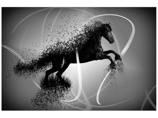 Fototapeta, Czarno biały koń fragmentaryzacja - Jakub Banaś, 8 elementów, 368x248 cm Oobrazy