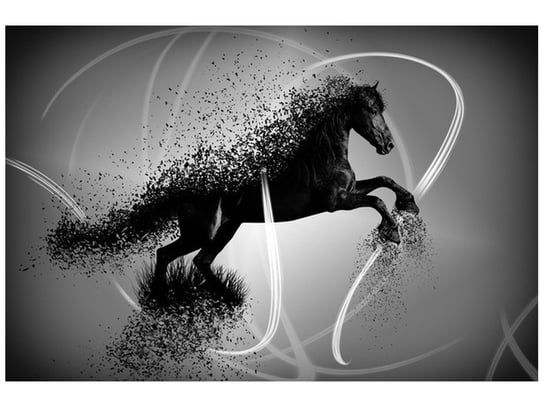 Fototapeta, Czarno biały koń fragmentaryzacja - Jakub Banaś, 8 elementów, 400x268 cm Oobrazy