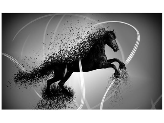 Fototapeta, Czarno biały koń fragmentaryzacja - Jakub Banaś, 8 elementów, 412x248 cm Oobrazy