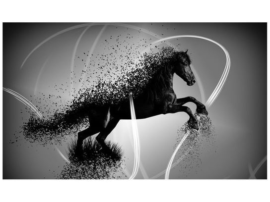 Fototapeta, Czarno biały koń fragmentaryzacja - Jakub Banaś, 9 elementów, 402x240 cm Oobrazy