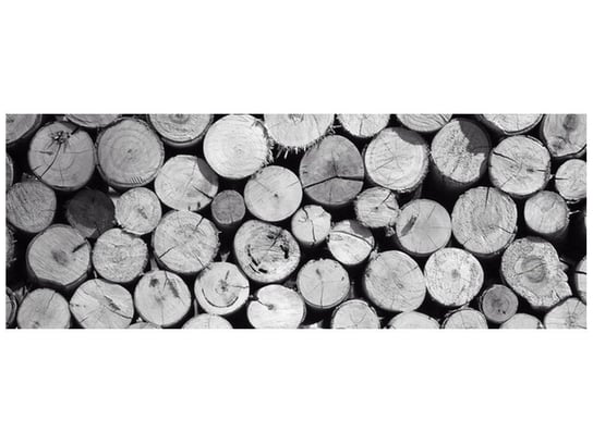 Fototapeta Czarno-biały stos drewna, 2 elementy, 268x100 cm Oobrazy