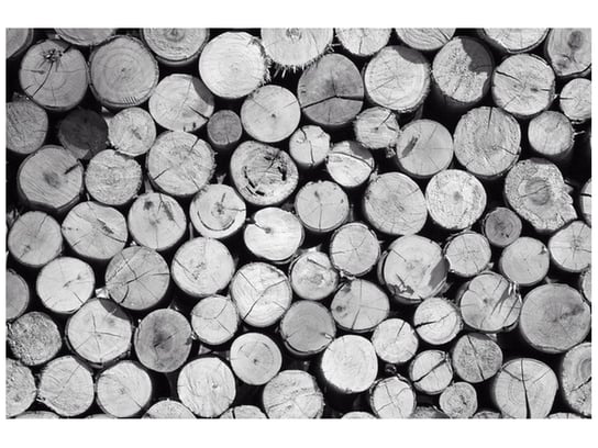Fototapeta, Czarno biały stos drewna, 8 elementów, 400x268 cm Oobrazy
