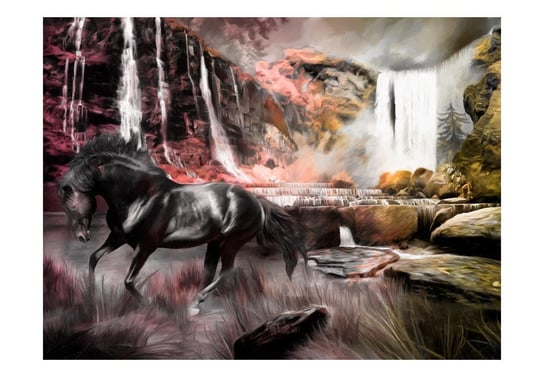 Fototapeta, Czarny koń przy wodospadzie, 300X231 DecoNest
