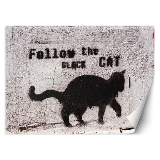 Fototapeta Czarny kot - follow the black cat, beton 100x70 Feeby