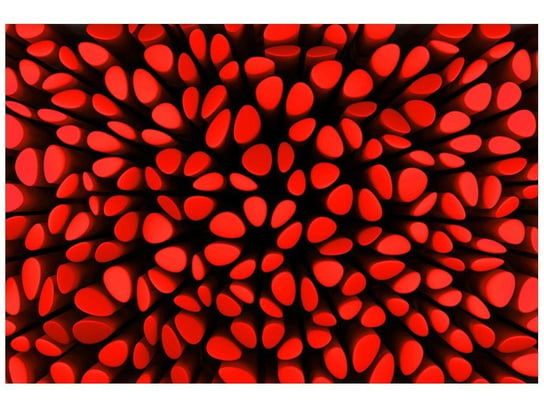 Fototapeta Czerwone plamy, 200x135 cm Oobrazy