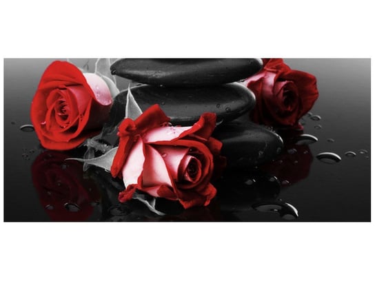 Fototapeta, Czerwone róże, 12 elementów, 536x240 cm Oobrazy