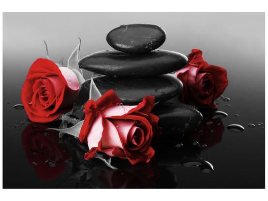 Fototapeta Czerwone róże, 200x135 cm Oobrazy