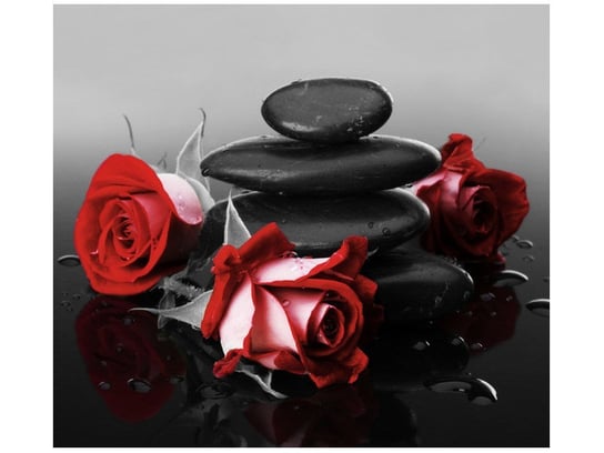Fototapeta, Czerwone róże, 6 elementów, 268x240 cm Oobrazy