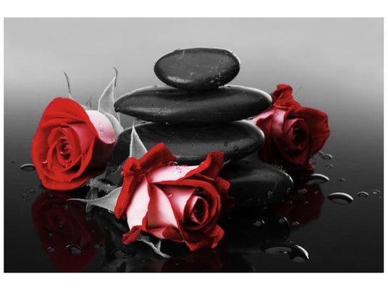 Fototapeta, Czerwone róże, 8 elementów, 368x248 cm Oobrazy