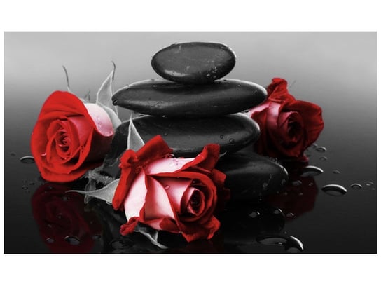 Fototapeta, Czerwone róże, 9 elementów, 402x240 cm Oobrazy